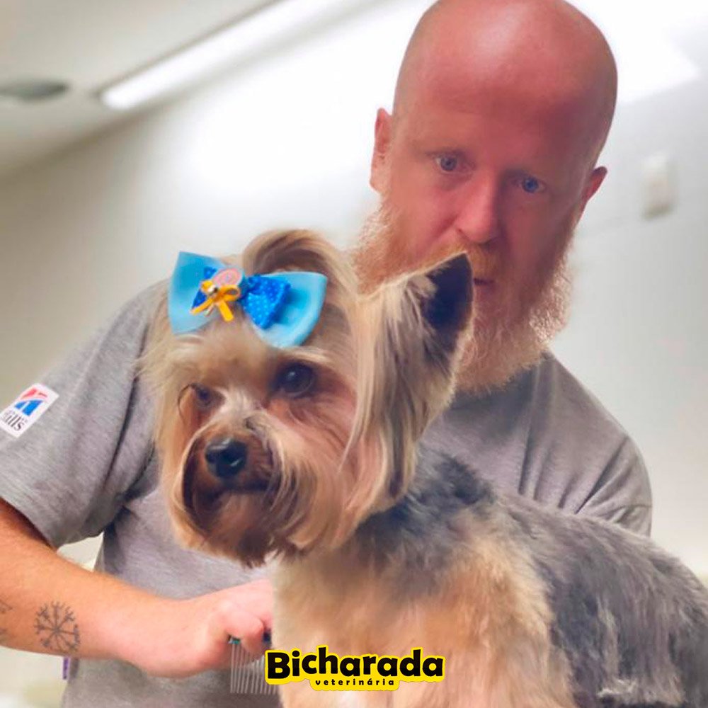 Veterinária Bicharada | Estética pet