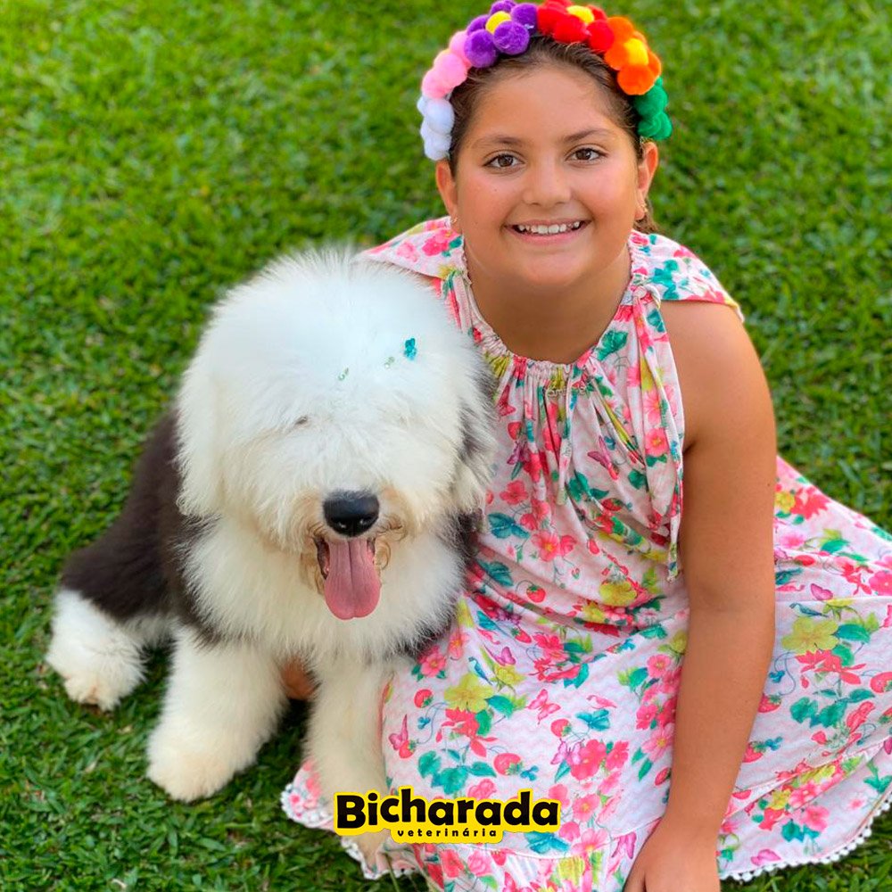 Veterinária Bicharada | Recreação