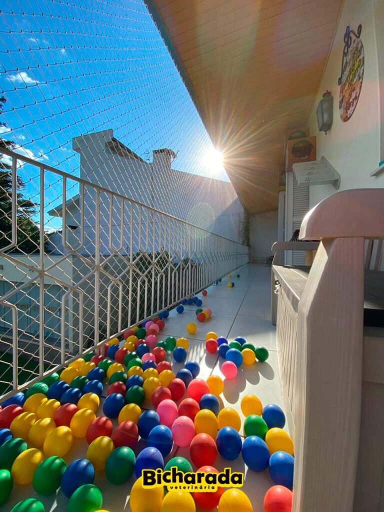 Veterinária Bicharada | Recreação