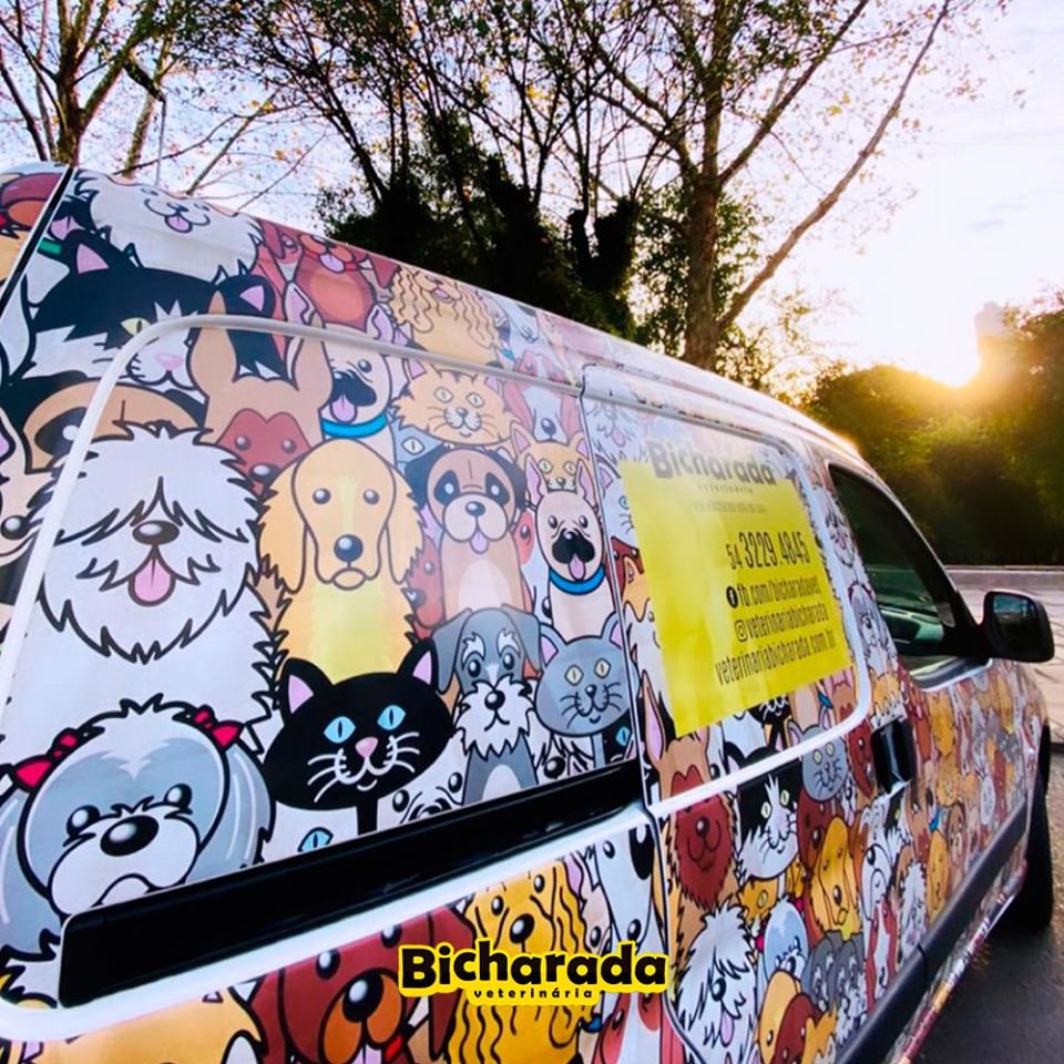 Veterinária Bicharada | Veterinária pet