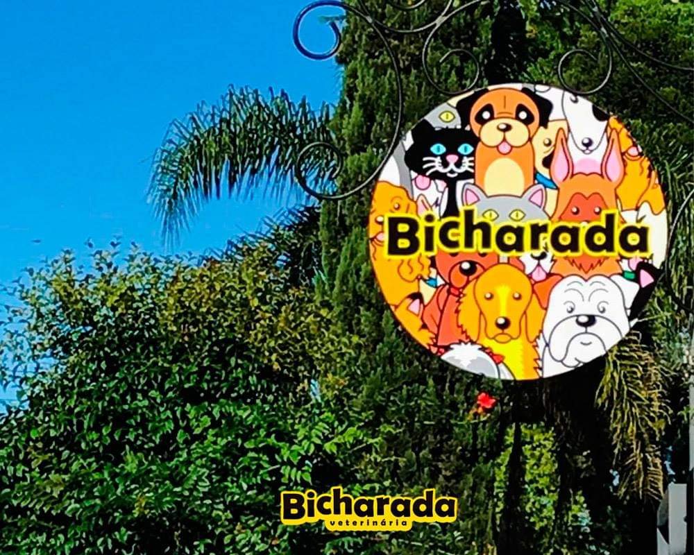 Veterinária Bicharada | Veterinária pet