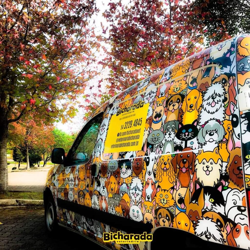 Veterinária Bicharada | Veterinária pet